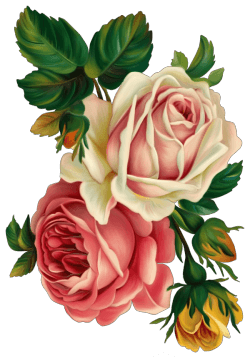 Marco de flores decorativo