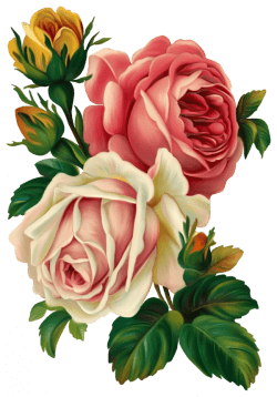 Marco de flores decorativo